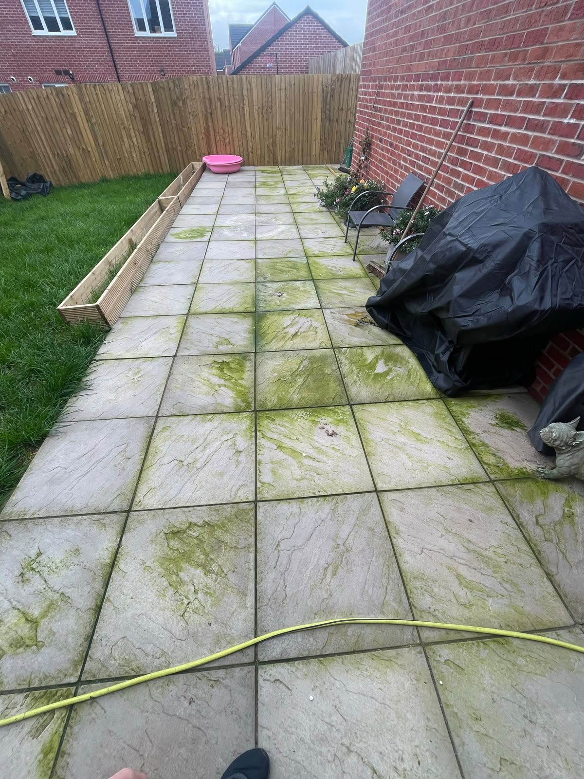 Algae covered patio paving slabs before cleaning